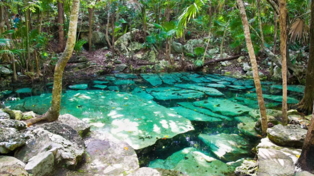 Guía completa para visitar el Cenote Azul en 2025: Precios, cómo llegar y qué hacer